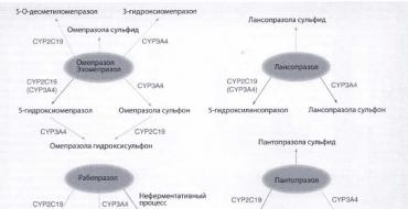 Генетические особенности цитохрома P450